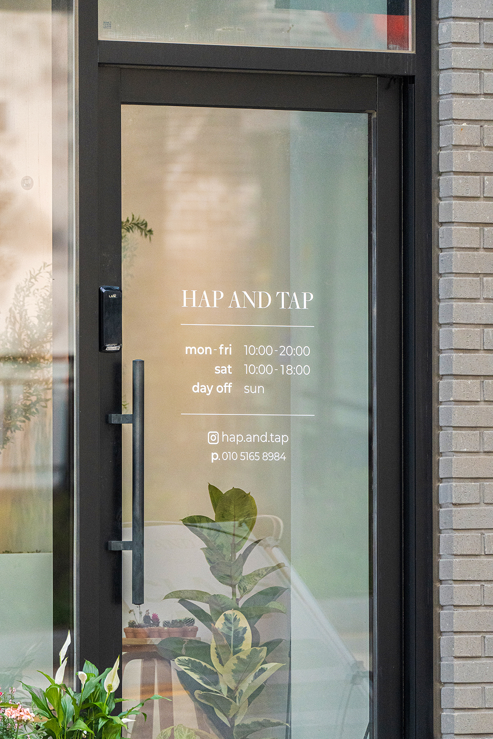 hap&tap_2.jpg