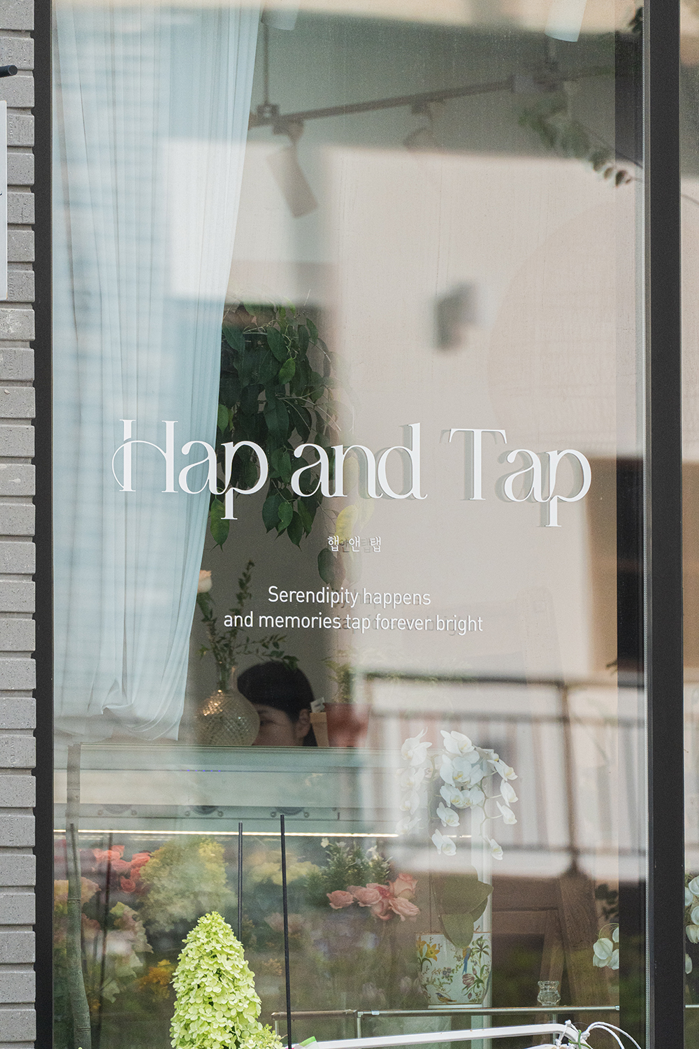hap&tap_3.jpg